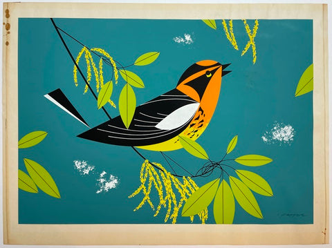 New Ford Times Arrivals