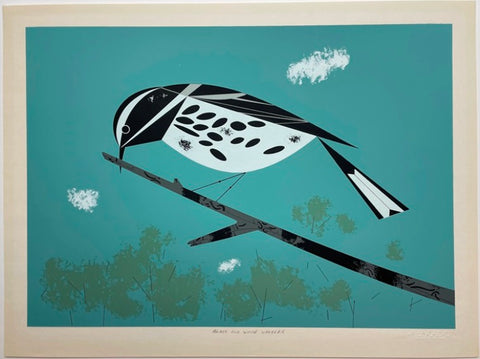 Black & White Warbler