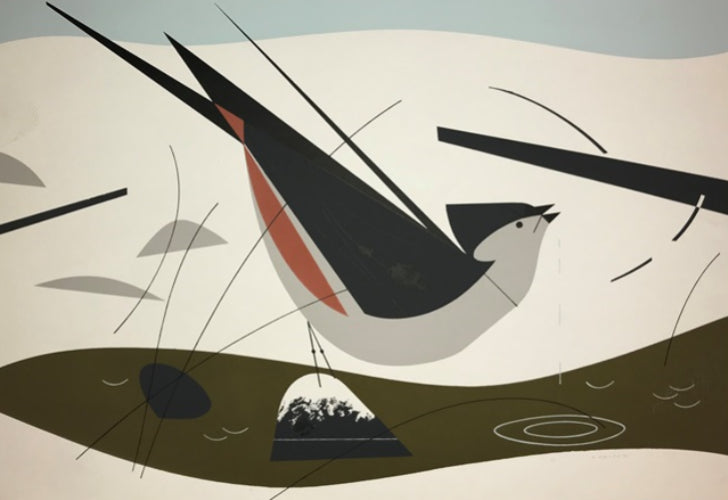 A Rare 1954 Tufted Titmouse Has Arrived!